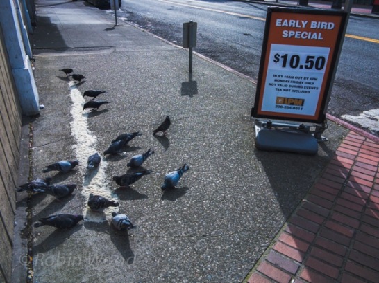 Early birds get the rice adjacent to an early-bird advertisement.