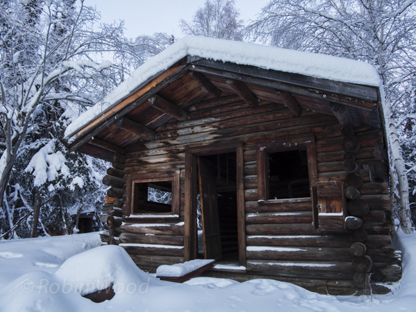 Closeup of an old cabin. 