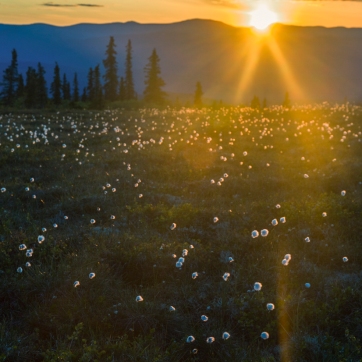 During Alaska's summer the sun often sets past midnight. This picture was taken around 12:30 a.m.